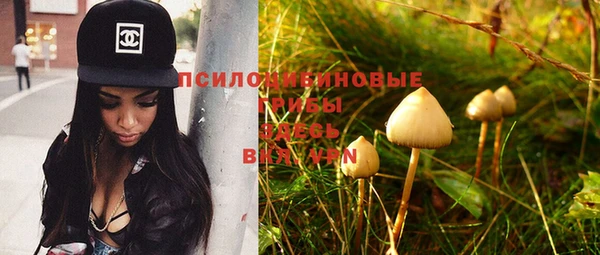 ПСИЛОЦИБИНОВЫЕ ГРИБЫ Абинск